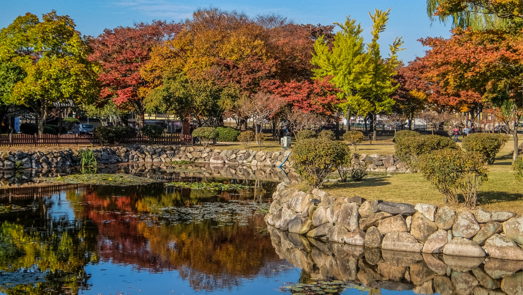 when to visit south korea